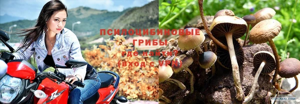 кокаин колумбия Бородино