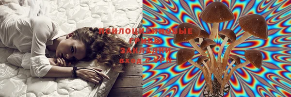 кокаин колумбия Бородино